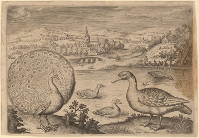 Påfågel och gås av Adriaen Collaert