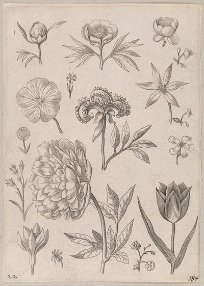 Pion av Adriaen Collaert