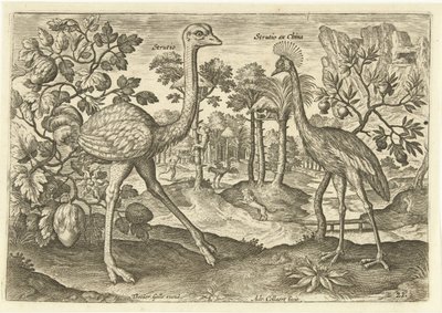 Två flyglösa fåglar i ett landskap Avium Vivae (serietitel) Fåglar (serietitel) av Adriaen Collaert