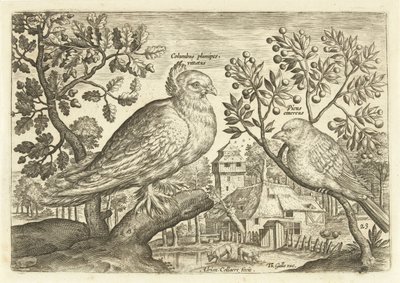 Två fåglar i ett landskap Avium Vivae (serietitel) Fåglar (serietitel) av Adriaen Collaert