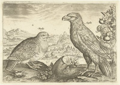 Två fåglar i ett landskap Avium Vivae (serietitel) Fåglar (serietitel) av Adriaen Collaert