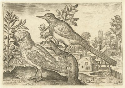 Två fåglar i ett landskap Fåglar (serietitel) Avium Vivae (serietitel) av Adriaen Collaert