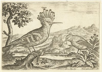 Två fåglar i ett landskap Fåglar (serietitel) Avium Vivae (serietitel) av Adriaen Collaert