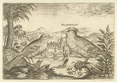 Två fåglar i ett landskap Fåglar (serietitel) Avium Vivae (serietitel) av Adriaen Collaert