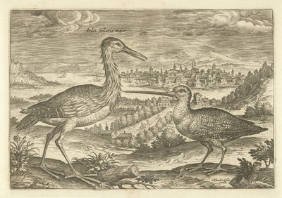 Två fåglar i ett landskap Fåglar (serietitel) Avium vivae (serietitel) av Adriaen Collaert