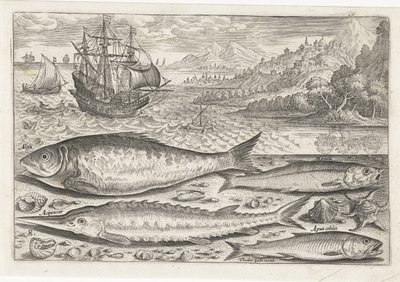 Fyra fiskar på stranden Fiske (serietitel) Piscium vivae-ikoner (serietitel) av Adriaen Collaert