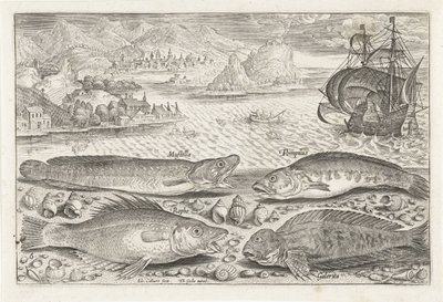 Fyra fiskar på stranden Fiske (serietitel) Piscium vivae-ikoner (serietitel) av Adriaen Collaert