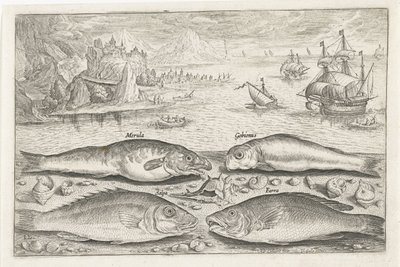 Fyra fiskar på stranden Fiske (serietitel) Piscium vivae-ikoner (serietitel) av Adriaen Collaert
