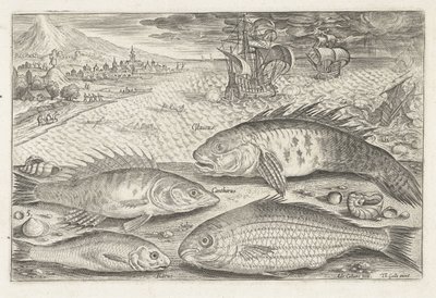 Fyra fiskar på stranden Fiske (serietitel) Piscium vivae-ikoner (serietitel) av Adriaen Collaert
