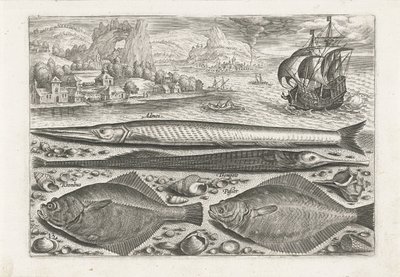 Fyra fiskar på stranden Fiske (serietitel) Piscium vivae-ikoner (serietitel) av Adriaen Collaert