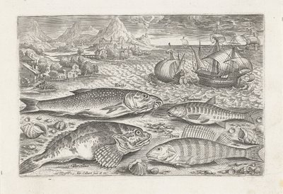 Fyra fiskar på stranden Fiske (serietitel) Piscium vivae-ikoner (serietitel) av Adriaen Collaert