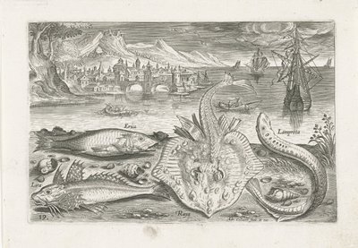 Fyra fiskar på stranden Fiske (serietitel) Piscium vivae-ikoner (serietitel) av Adriaen Collaert