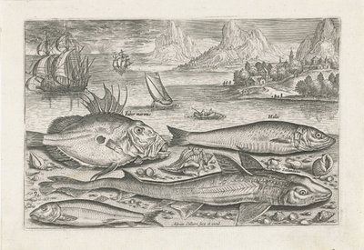 swedish av Adriaen Collaert