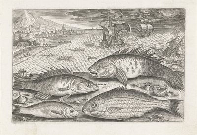 Fyra fiskar på stranden Fiske (serietitel) Piscium vivae-ikoner (serietitel) av Adriaen Collaert