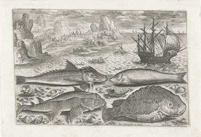 Fyra fiskar på stranden Fiske (serietitel) Piscium vivae-ikoner (serietitel) av Adriaen Collaert