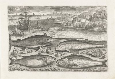 Fyra fiskar på stranden Fiske (serietitel) Piscium vivae-ikoner (serietitel) av Adriaen Collaert