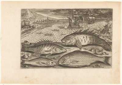 Fyra fiskar på stranden Fiske (serietitel) Piscium vivae-ikoner (serietitel) av Adriaen Collaert