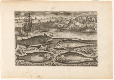 Fyra fiskar på stranden Fiske (serietitel) Piscium vivae-ikoner (serietitel) av Adriaen Collaert