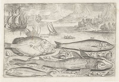 Fyra fiskar på stranden Fiske (serietitel) Piscium vivae-ikoner (serietitel) av Adriaen Collaert