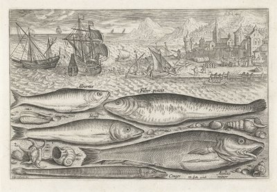Fem fiskar på stranden Fiske (serietitel) Piscium vivae-ikoner (serietitel) av Adriaen Collaert