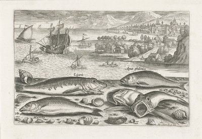 Fem fiskar på stranden Fiske (serietitel) Piscium vivae-ikoner (serietitel) av Adriaen Collaert