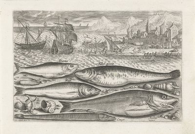 Fem fiskar på stranden Fiske (serietitel) Piscium vivae-ikoner (serietitel) av Adriaen Collaert