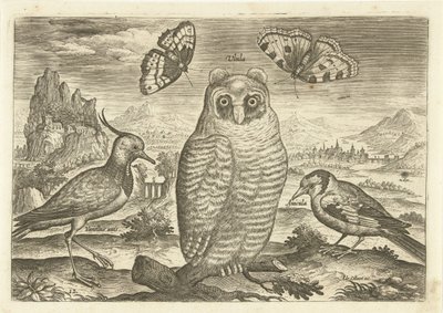 Fåglar och fjärilar i ett landskap Fåglar (serietitel) Avium vivae (serietitel) av Adriaen Collaert