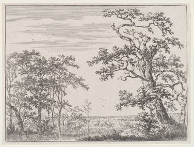 Landskap med en bäck och ett gammalt träd av Adriaen Hendricks Verboom