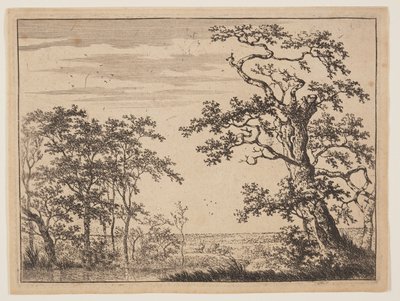 Dammen av Adriaen Hendricksz. Verboom