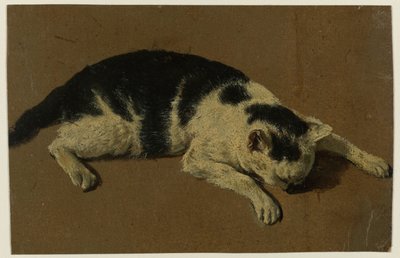 Katt liggande med huvudet mellan frambenen av Adriaen van de Velde (attributed to)