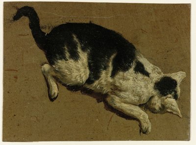 Katt tittar ner från en höjd av Adriaen van de Velde (attributed to)