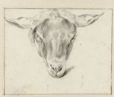 Fårhuvud, framifrån av Adriaen van de Velde (attributed to)