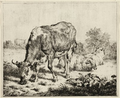 En ko och tre får av Adriaen van de Velde