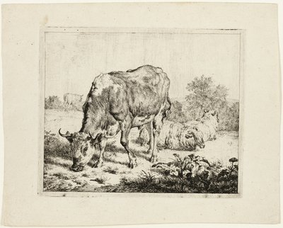 Tjurbete och tre får av Adriaen van de Velde