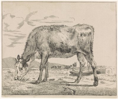 Betande kalv Boskap (serietitel) av Adriaen van de Velde