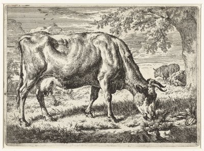Betande ko och två får Kor och får (serietitel) av Adriaen van de Velde