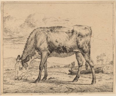 Betande kalv av Adriaen van de Velde