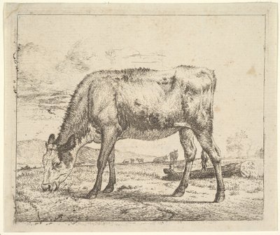 Betande kalv, från olika djur, 1658. av Adriaen van de Velde