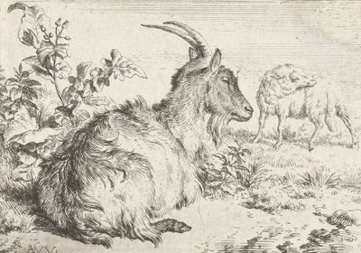 Liggande get, 1670 av Adriaen van de Velde
