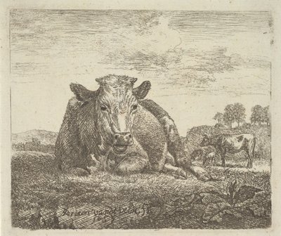 Liggande ko, från olika djur, 1657. av Adriaen van de Velde