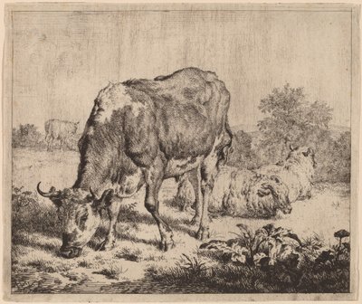 Fläckig tjur och tre får av Adriaen van de Velde