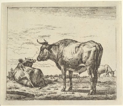 Stående Bull, från olika djur. av Adriaen van de Velde