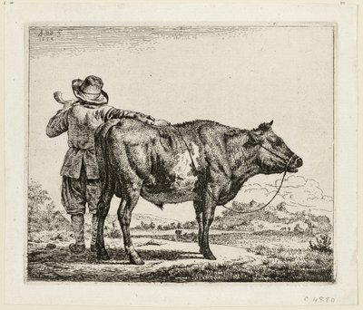 Koherden och tjuren av Adriaen van de Velde