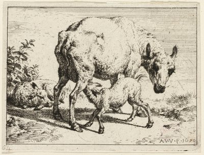 Lammet av Adriaen van de Velde