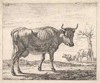 Tre kor. av Adriaen van de Velde