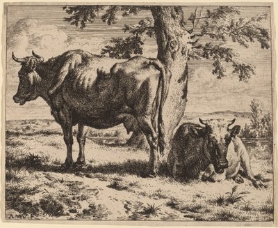 Två kor under ett träd av Adriaen van de Velde