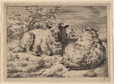 Två liggande får av Adriaen van de Velde
