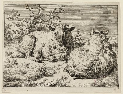 Två får av Adriaen van de Velde