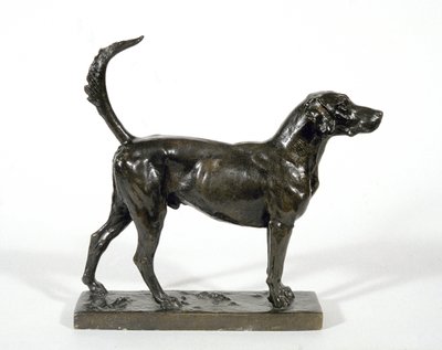The Hound "Pytchley Forager" av Adrian Jones