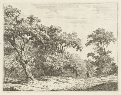 Landskap med träd och en man på vägen av Adrianus Serné
